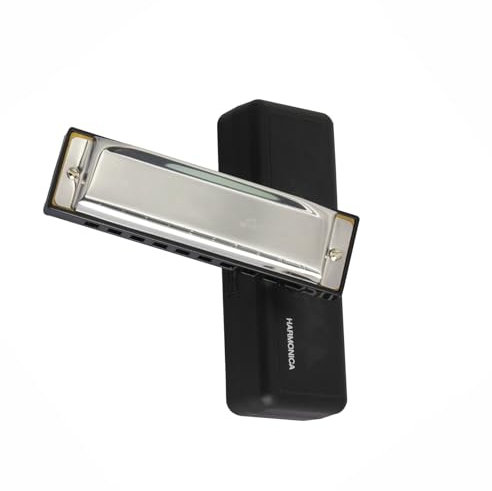 Mundharmonika Set 10 loch C Blues Mundharmonika Anfänger Erwachsene Spielen Zehn Loch Mundharmonika Blasinstrument(Silver)