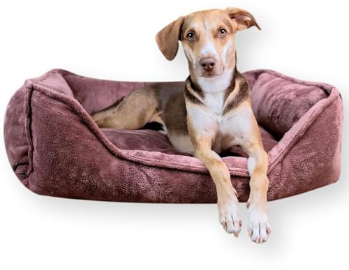 4L Textil IRIS Orthopädisches Hundebett Premium-LINE Hundekorb orthopädisch Kuscheliges Hundebett mit Bezug Memory Foam(80x60 cm, Grape Mauve)