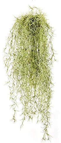 artplants.de Künstliche Tillandsia Usneoides Ranke IRMENA, 115 Zweige, grün-gelb, 80cm - Ranke künstlich - Deko Pflanze