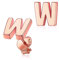 Silvora Initiale Alphabet W Klein Buchstaben Ohrstecker 925 Silber Damen Ohrringe Rosegold Name Initiale Ohrringe für Damen/Frauen/Mädchen