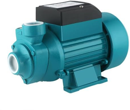 HYZHANHONG 230W Portable Shallow Well Pump, Garden Water Pump 24V Maximum Head 20M, Sprinkler Booster Pump for Drainage And Irrigation, Home Garden Lawn Drainage Pump