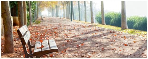 Wallario Memoboard aus Glas mit Motiv, Magnet-Tafel in 32 x 80 cm in Premium Qualität Einsame Parkbank an Einer Allee - Herbststimmung