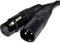 Pulse XLR Micrófono Masculino a Femenino Audio Cable Negro 0,3 m 30 cm [0.3 Metros/0,3m]