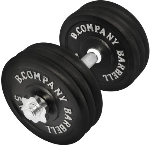 Guss Kurzhantel-Set 32,5Kg (1 x Kurzhantelstange 35cm und 6x5Kg Hantelscheiben) Hantelset Hanteln Gewichte