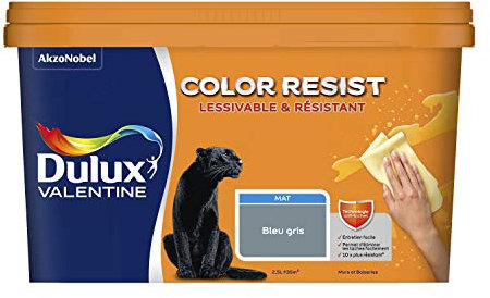 Dulux Valentine Color Resist Pièces à Vivre - Peinture Intérieure Murs, Plafonds, Boiseries - Lessivable et Résistante - Couleur : Bleu Gris - 2,5 L - 5351560