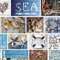 Mambo Design PVC Tischdecke Marina Wachstuch · Breite & Länge wählbar · abwaschbare Tischdecke · Maritim blau Weiss Seestern, Größe:120 x 160 cm
