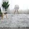 Tapis Chambre Tapis Pour Salon Tapis De Sol Grand pour Couloir Soft Tapis à Poils Longs Moelleux Tapis Antidérapant Intérieur Moelleux épais Pour Salon Chambre Filles EnfantsGris blanc, 200*300cm)