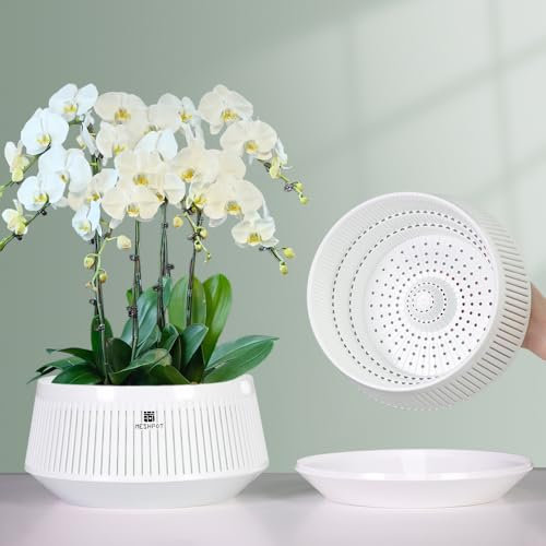 Meshpot 8 inch Orchid Pots with Holes for Repotting,Set of 1,Decorative African Violet Pots with Air-Pruning and Good Air Circulation,Plastic White Orchid Planter with Saucers