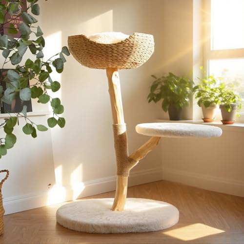 CAMTTIR Kratzbaum aus natürlichem Holz, modernes Katzenhaus mit baumelndem Ball, gemütlichen Körben, Kratzbäumen für große Indoor-Katzen, ästhetisches Haustiermöbel aus Massivholz (88,9 cm hoch)