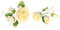 Cake Company Rosen Tortenaufsatz 2 verschiedene Stück 1er Pack (1 x 96 g) | Tortendekoration zur Hochzeit und Geburtstagen