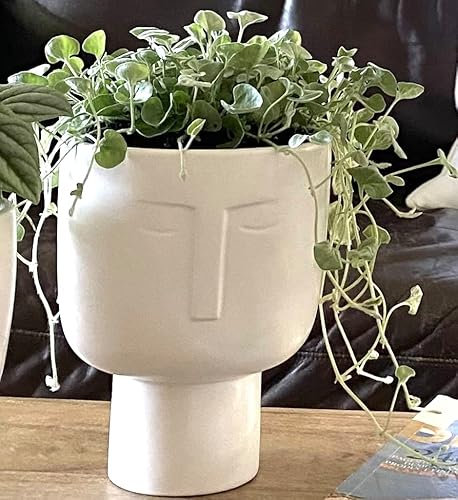 Planters for Indoor Plants - Tall 7 Inch Ceramic Self Watering Pots Matte White Plant Pot with Drainage & Inner Pot Face Vase Or Head Planter Unique Face Pots for Plants. Medium 5.5 Inch Wide