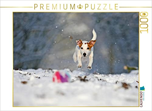 CALVENDO Puzzle Winterspaß | 1000 Teile Lege-Größe 64 x 48 cm Foto-Puzzle für glückliche Stunden