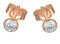 DOOSTI Damen Ohrstecker 925/- Silber Rosegold vergoldet, 2,5mm Durchmesser