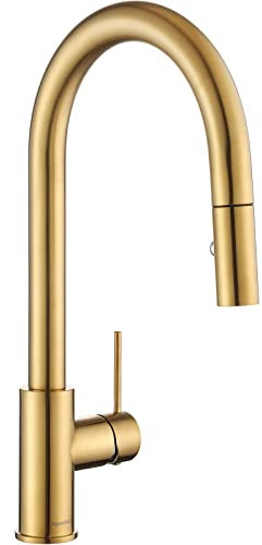 AguaStella AS60BG - Grifo de fregadero de cocina dorado cepillado brillante con pulverizador extraíble de una sola manija