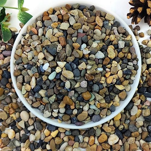 YISZM 9 kg natürliche Flusssteine, 6,3 mm Aquarienkies, kleine Steine für Pflanzen, Erbsenkies für Aquarien, dekorative Kieselsteine für Gartenarbeit, Blumentöpfe, Vasenfüller, Innenwasserbrunnen,