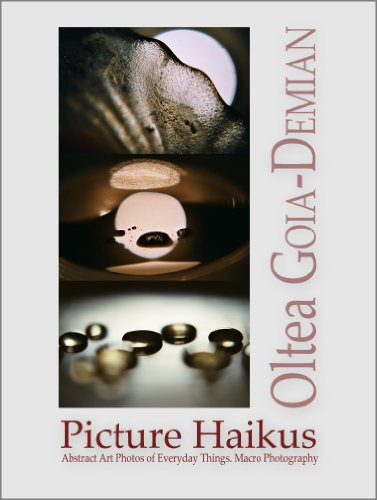 Picture Haikus – Abstract Art Photos of Everyday Things. Macro Photography (English Edition)