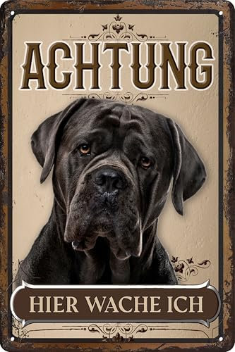 30 x 20 cm wetterfestes Blechschild, Warnhinweis, Torschild, Achtung, hier Wache ich! Warnung vor dem Hund (Cane Corso)
