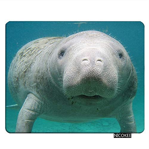 NICOKEE Manatee Rectangle Gaming Mousepad Cute Manatee in The Water Mouse Pad Mouse Mat for Computer Desk Laptop Office 9.5 X 7.9 Inch Non-Slip Rubber