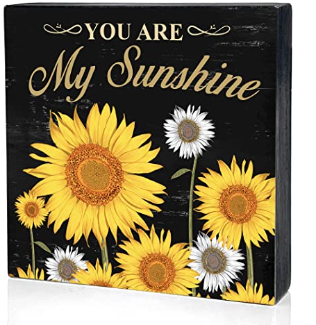Inspirierendes Holzkastenschild Schreibtischdekoration You are my sunshine Holzblock Schilder mit Zitaten Rustikale Box Schild für Zuhause Wohnzimmer Regal Tischdekoration (12,7 x 12,7 cm)