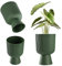 KADAX Blumentopf in Kelchform, Pflanztopf aus Kunststoff in 2 Größen, Pflanzgefäß in 5 Farben für Balkon, Terrasse, Fensterbrett, Pokal Pflanzschale, Übertopf (18cm, Grün)