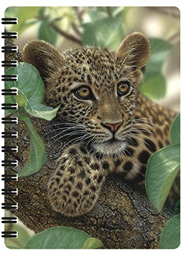 3D LiveLife Jotter - Baumumarmer von Deluxebase. Linsenförmiges 3D Leopard A6 Spiralblock. Ein liniertes Notizbuch mit Kunstwerken, die vom renommierten Künstler Collin Bogle lizenziert wurden