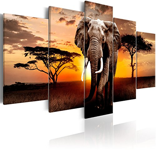 murando - Wandbilder XXL Afrika 225x112cm 5 tlg - Wand Deko Leinwand Bilder Groß Wanddeko Wohnzimmer Schlafzimmer Kunstdrucke - Landschaft Tier Elefant g-C-0054-b-n