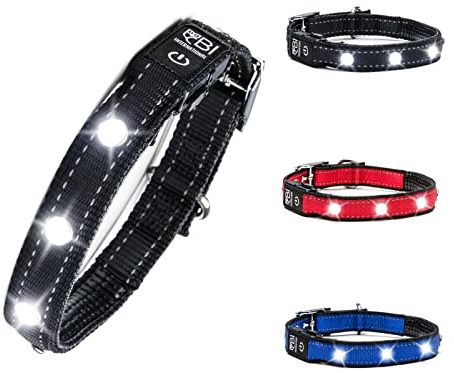 Leuchthalsband für Hunde [Das Original] Leuchtendes LED Hundehalsband zum spazieren gehen auch im Dunkeln- sehr Lange Akkulaufzeit – Sicher Dank starker Leuchtkraft – Hundehalsband Leuchtend