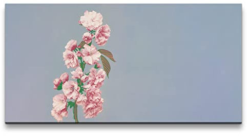 Paul Sinus Remaster 120x60cm Ogawa Kazumasa berühmte Fotografie japanische Kirschblüte Wunderschön