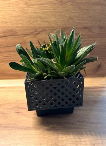 Kimmel 2 Stück Übertopf 13x13 cm Blumenübertopf für Zimmerpflanzen Orchideentopf Pflanztopf Blumentopf Deko Topf Pflanzkübel, aus Kunststoff, Farbe grau