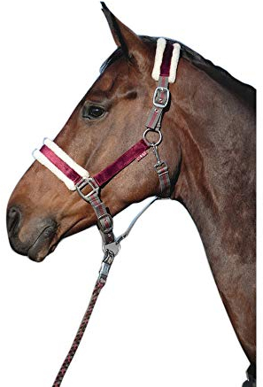 HKM Velluto Halfter mit Synthetischem Lammfell, Grau/Weinbeere, Warmblut Größe
