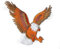Ju-Sports Patch Adler