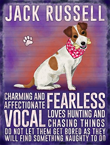 Fridge Magnet - Jack Russell Dog