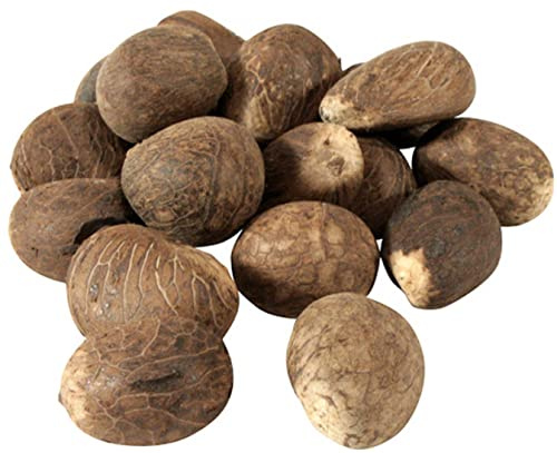Fair Trade Ecuador Tagua Nuts | Vegan Ivory | Medium 55-65mm / 5.5cm-6.5cm (2.16''-2.56'') (10)