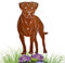 Terma Stahldesign Edelrost Hund Cane Corso, Handmade Germany, tolle gartendeko aus Rost-Metall, deko rostoptik, Rostfiguren Tiere, rostfiguren Garten, Rostdeko