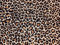 Brown Leopard Animal Print A4 Icing Sheet Cake Topper Edible Decoration