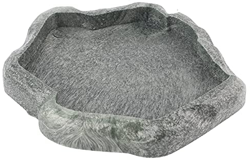 Ciotola per rettili, resin Rock rettile per cibo e acqua piatto di terrario ornamento acquario piatto per l'iguana del camaleonte della lucertola del tartaruga(Verde scuro S)