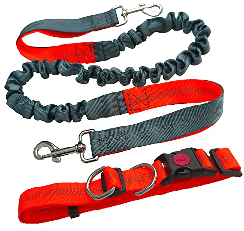 Aiqeer Guinzaglio Cani Mani Libere, Arancione Cintura in Vita Regolabile e Grigio Guinzaglio Elastico Retrattile, Guinzaglio Cani Jogging con Cuciture Riflettenti