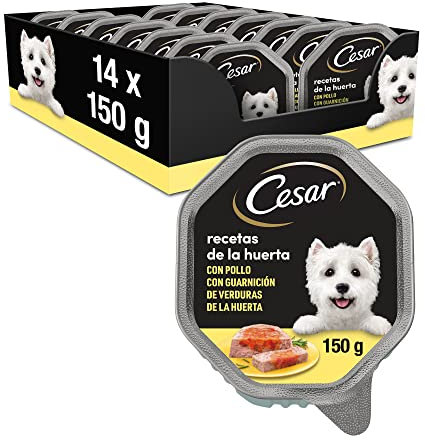 César Tarrina de Nourriture Humide pour Chien à Paté et à la gélatine, Recettes du Huerta (Pack de 14 x 150g)