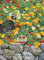 Sperli 86083 Mohn (Schlafmützchen) Bunte Mischung (Mohnsamen)