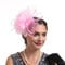 Women Fascinators Hat Organza Flower Fascinators Wedding Fascinators Tea Party Hat Flapper Pillbox Fascinator Hat Derby Ascot Hat with Headband Hairclips Headdress Headpieces