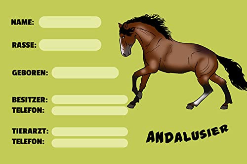 Aus Holz 20x30cm Pferd Namensschild Impfausweis behandelter Arzt Steckbrief Andalusier