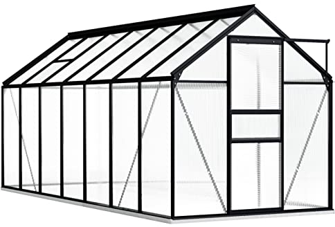 Festnight Serre de Jardin Avec Cadre de Base en Aluminium - Polycarbonate Tente Abri Plantes Greenhouse Base Culture - Anthracite 8,17 m²