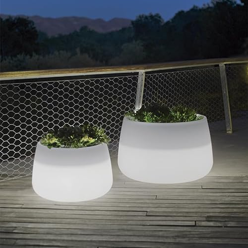 MOOVERE Pot de Fleurs Lumineux translucide en polyéthylène, léger et résistant, pour Plantes et Fleurs (Câble - Lumière Froide, 80cm)
