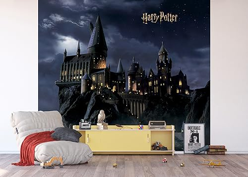 AG Design ADTD4P 7804-412 Papier peint photo en non-tissé Motif Harry Potter 300 x 270 cm