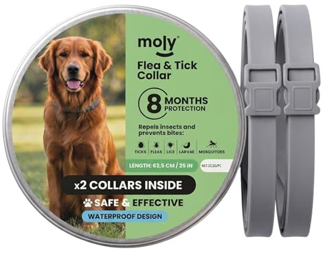 MOLY X2 Collar Antipulgas y Garrapatas Perros Medianos y Grandes 63,5 cm | Pack Collares Antiparasitarios | Protección 8 Meses Pulgas, Garrapatas, Piojos, Larvas y Mosquitos | Resistente al Agua