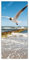 posterdepot Türtapete Türposter Fliegende Möwe am Strand - Größe 93 x 205 cm, 1 Stück, ktt0264