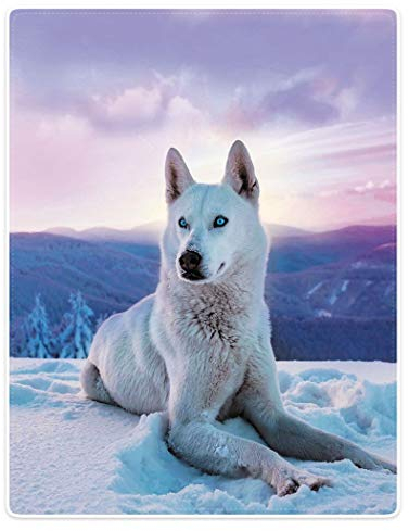 YISUMEI Flauschige Decke 150x200 Bett Kuscheldecke Sofa Wohndecke mit Motiv Schnee Weißer Wolf