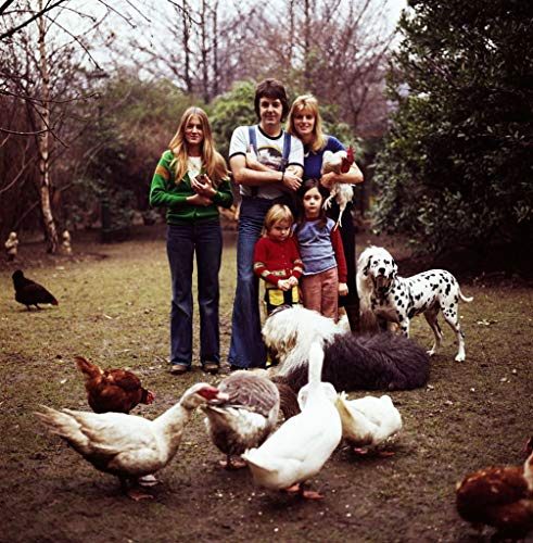 Poster Paul McCartney und seine Familie Beatles Rock Pop Star