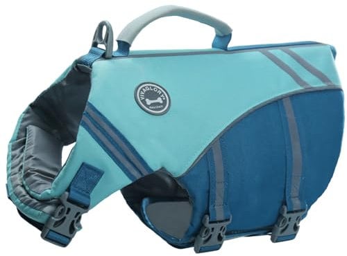 VIVAGLORY Giubbotto Salvagente Stile Sportivo per Cane con Flottabilità Aggiuntiva, Gilet da Nuoto Regolabile e Resistente per Cani Piccoli, Ciano