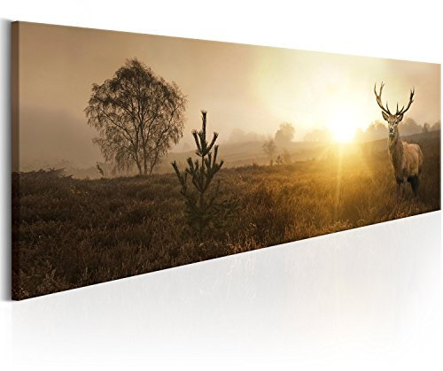 murando - Wandbilder XXL Hirsch 150x50 cm 1 tlg - Wand Deko Vlies Leinwand Bilder Groß Wanddeko Wohnzimmer Schlafzimmer Kunstdrucke Panoramabild - Landschaft Natur Tier Wald Sonnenstrahlen